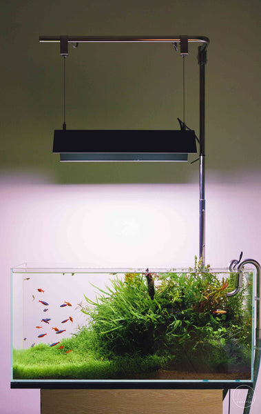 Stainless Steel Lighting Stand (Cabinet Mount)