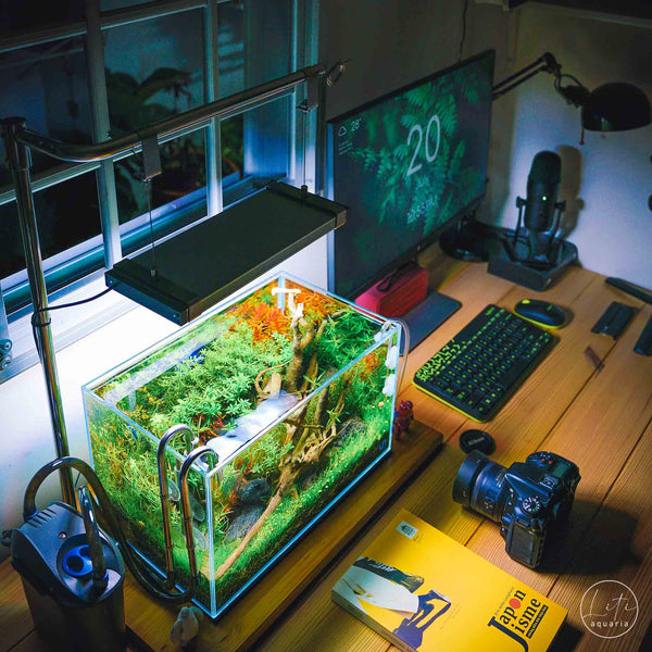 Stainless Steel Lighting Stand (Desk Mount)