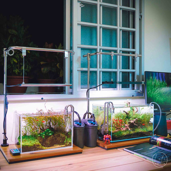 Stainless Steel Lighting Stand (Desk Mount)