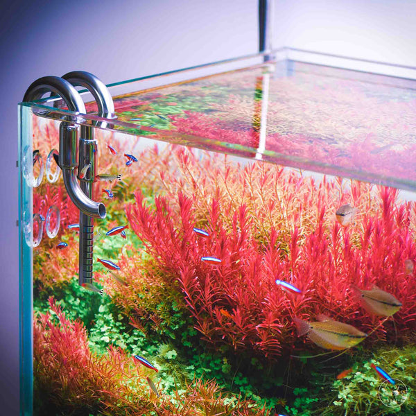 16mm Stainless Steel Jet Pipes