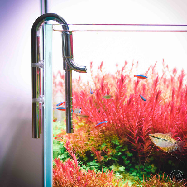 12mm Stainless Steel Jet Pipes